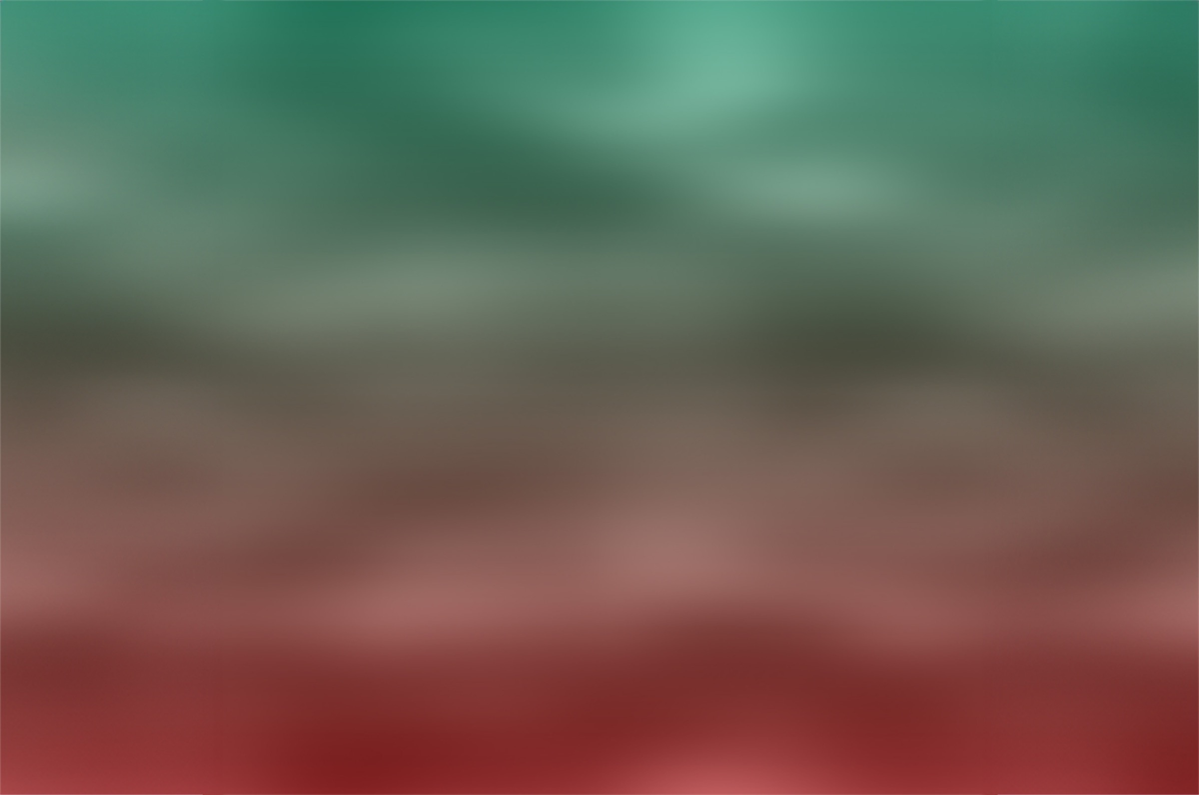 ACBC × Baldinini gradiente